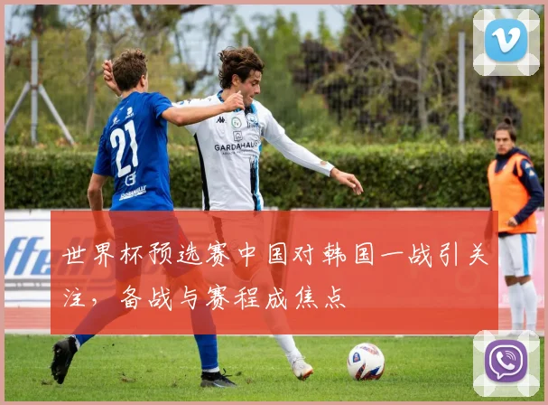 世界杯预选赛中国对韩国一战引关注,备战与赛程成焦点