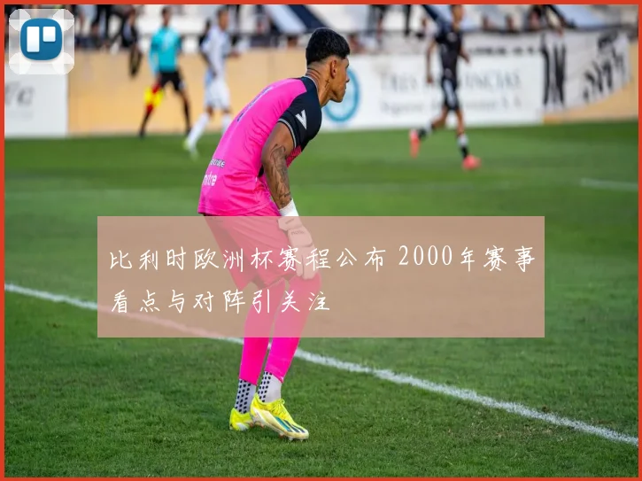 比利时欧洲杯赛程公布 2000年赛事看点与对阵引关注