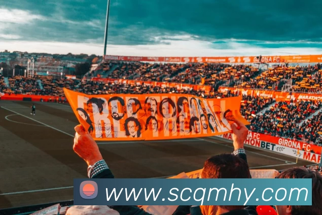 俄罗斯世界杯中国官网平台生态图