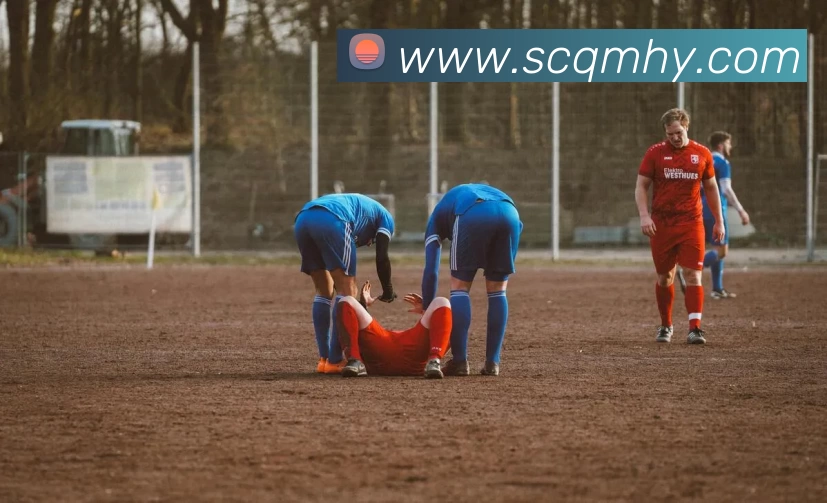 俄罗斯世界杯中国官网APP 封面图